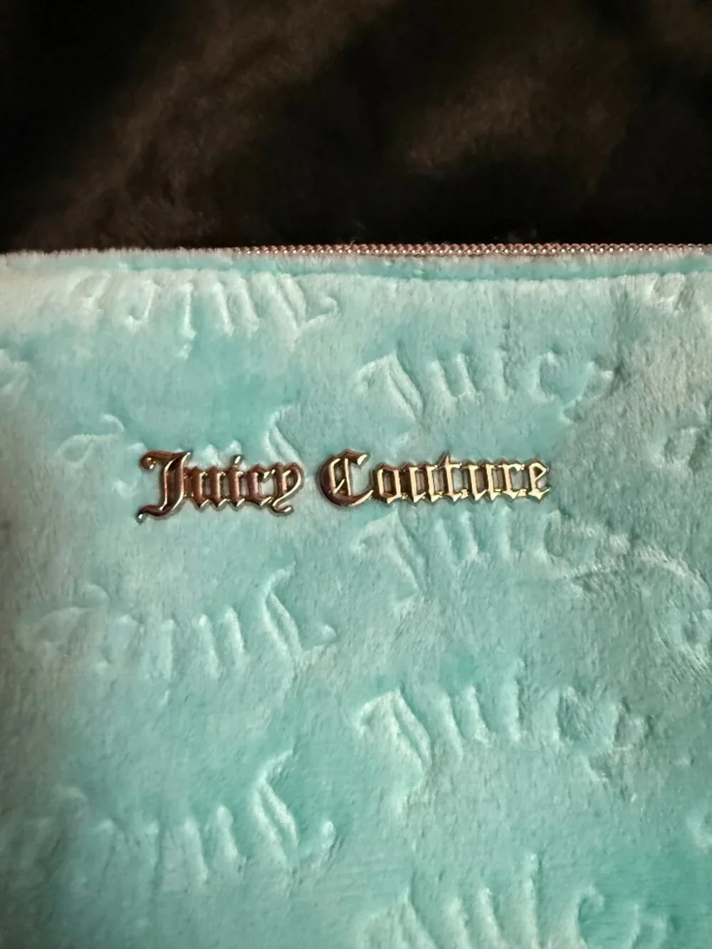 Juicy Couture Light Blue Plush Cosmetic Makeup Bag